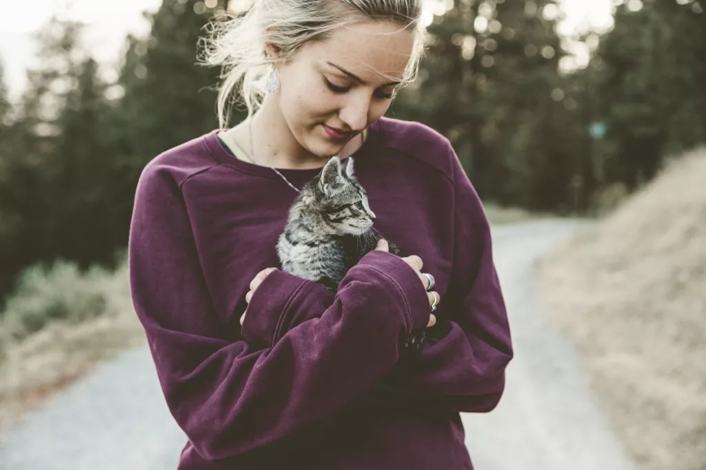 first month kitten care