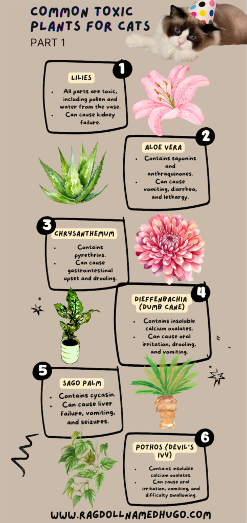 Common Toxic Plants for Cats Part 1