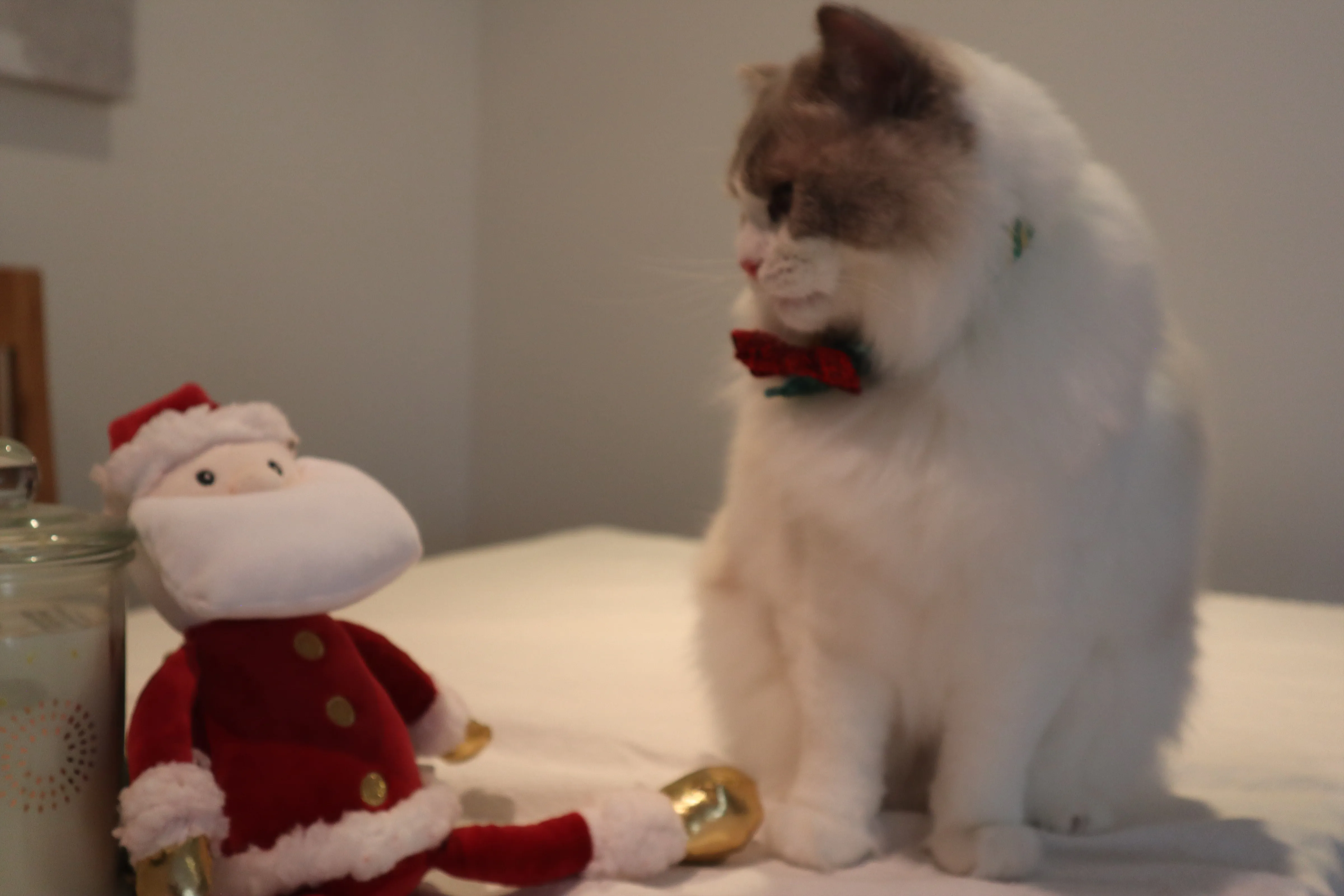 a cat sitting next to a stuffed toy